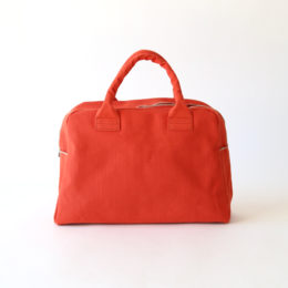 ブリ-フケ-スミニ 紅花・画像