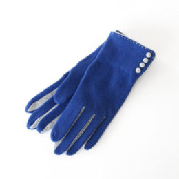 BLUE女性用手袋 Standard・画像