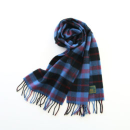 ラムウ-ルマフラ- ANGUS DISTRICT MTD・画像