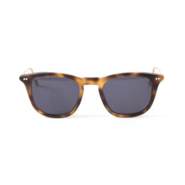 TORTOISEサングラス・画像