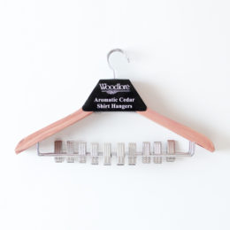 ベ-シックハンガ-・クリップ付き5本組・画像