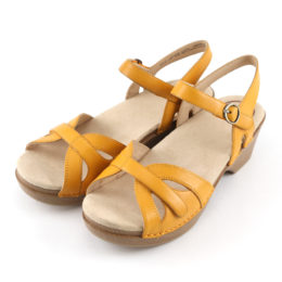 36SEASON Mango・画像