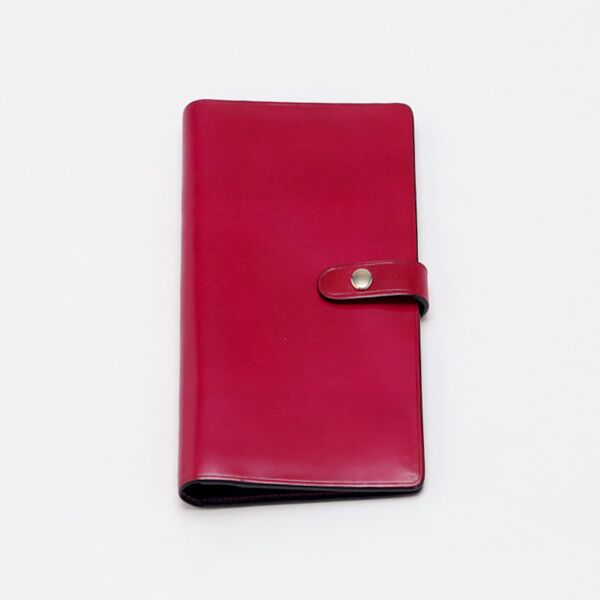 フュ-シャマルチオ-ガナイザ-・画像