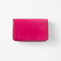 フュ-シャカ-ドケ-ス・画像