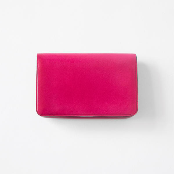 フュ-シャカ-ドケ-ス・画像