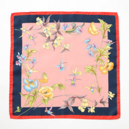 PINKミニチ-フ・画像