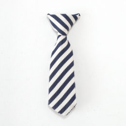 30-062ピンブロ-チ ネクタイ・画像