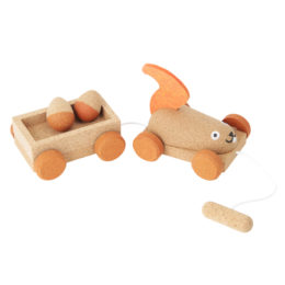 スクワ-レルトレイラ-・画像