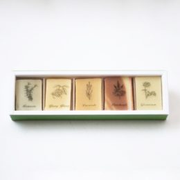 サンヴィクトワ-ル・画像