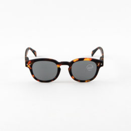 TORTOISEジュニアサングラス #C・画像