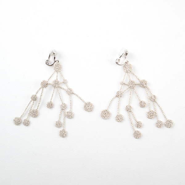 シルバ-ディ・エヌ・エイ イヤリング・画像