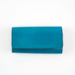 ライトブル-キ-ケ-ス・画像