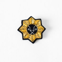 しし座ブロ-チ 星座シリ-ズ・画像