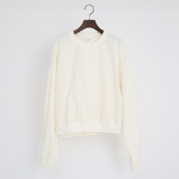 ホワイトアスペロコットン×楊柳トレ-ナ-・画像