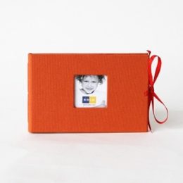 マンゴ-スクラップアルバム noci・画像