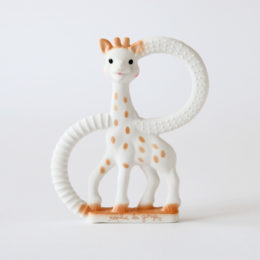 キリンのソフィ- ティ-ジングリング・画像