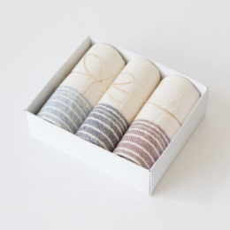 ブル-・ネイビ-・エンジフラックスライン ゲストタオルセット・画像