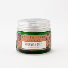 スタ-ハ-ブバ-ム・画像