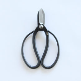 165mm古流型・画像