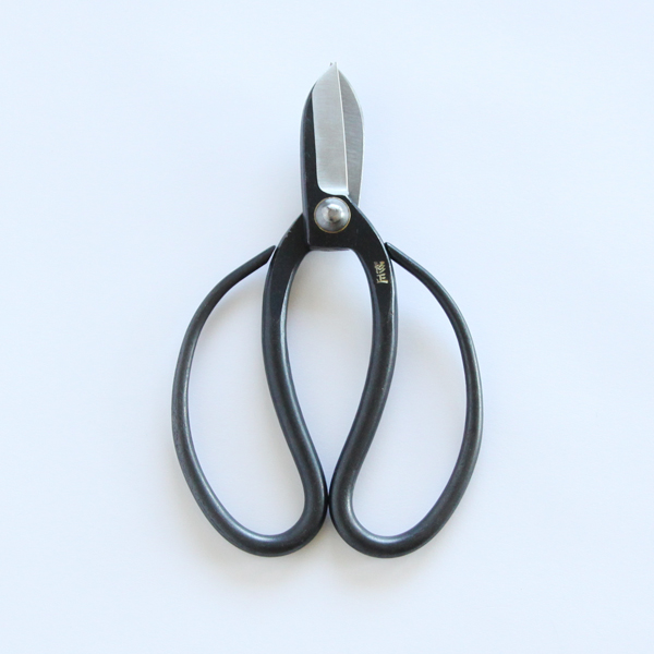 165mm古流型・画像