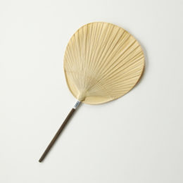 渋うちわ小丸(しょうまる)・画像