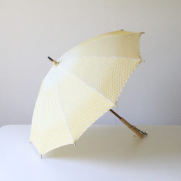 日傘 とうもろこし・画像