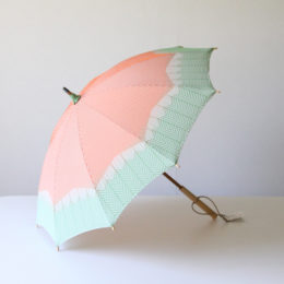 日傘 にんじん・画像