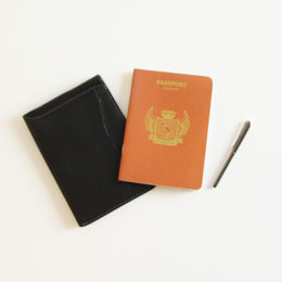 Passport Sleeve BLACK・画像