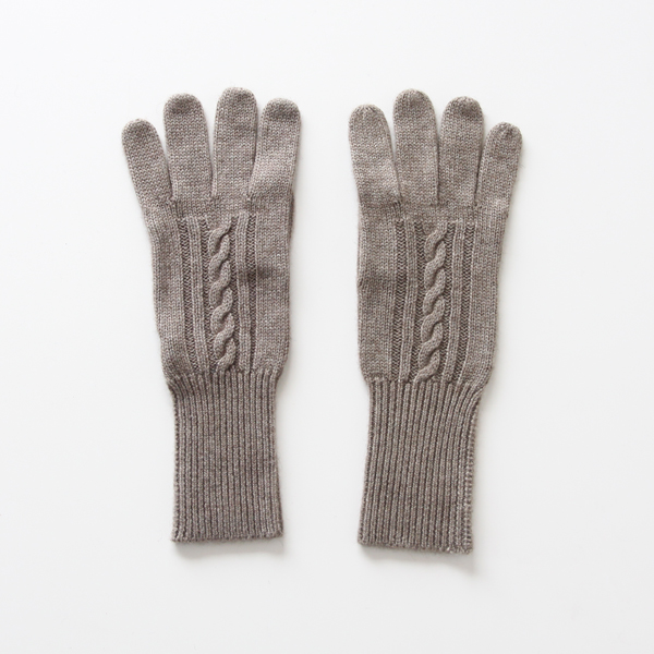 ブラウンレディ-ス ケ-ブル&ステ-ブル・グロ-ブ・画像