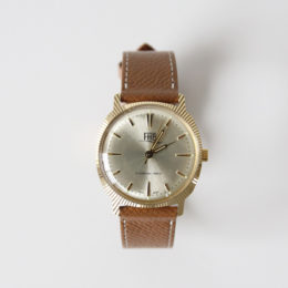 CLASSIC F907YG-CAM・画像