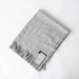 メリノスト-ル シルバ-・画像