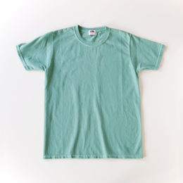 Sフル-ツ染めTシャツ キウイ・画像
