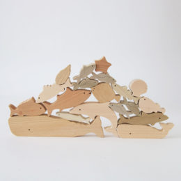 海のいきものつみき・画像